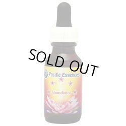 画像1: アバンダンスエッセンス -今一番必要な豊かさを得るために-