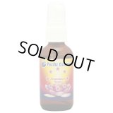 アバンダンススプレー -今一番必要な豊かさを得るために-