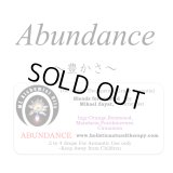 Abundance-アバンダンス（豊かさ）‐
