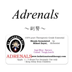 画像1: Adrenals-アドレナル（副腎）‐