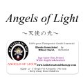 ☆★☆在庫限り☆★☆ Angels of Light-エンジェル・オブ・ライト（天使の光）‐