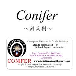 画像1: Conifer-コニファー（針葉樹）-