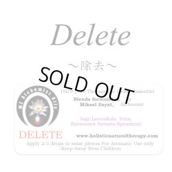 画像1: Delete-ディレート（除去）-