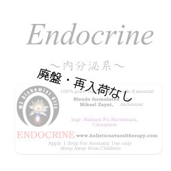 画像1: 【廃盤商品】 Endocrine-エンドクリン（内分泌系）-