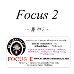 画像1: FocusII-フォーカスII（集中）-