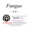 ☆★☆在庫限り☆★☆ Fungus-ファンガス（真菌）-