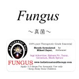 Fungus-ファンガス（真菌）-