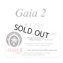 画像1: 【在庫限り】 Gaia II-ガイアII-
