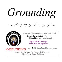 画像1: Grounding-グラウンディング-