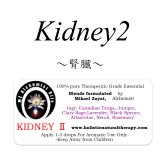 Kidney II -キドニー(腎臓 II)-