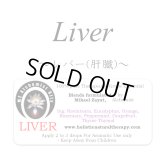 Liver-レバー(肝臓)-