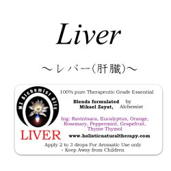 画像1: Liver-レバー（肝臓）-