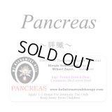 Pancreas-パンクリアス(膵臓)-