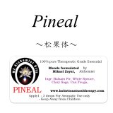 Pineal-ピニアル（松果体）-