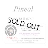 Pineal-ピニアル（松果体）-