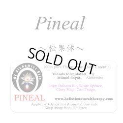 画像1: Pineal-ピニアル(松果体)-