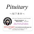 【在庫限り】 Pituitary-ピチュエタリー（脳下垂体）-