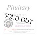 【在庫限り】 Pituitary-ピチュエタリー（脳下垂体）-