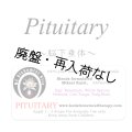 【在庫限り】 Pituitary-ピチュエタリー（脳下垂体）-