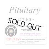 Pituitary-ピチュエタリー（脳下垂体）-