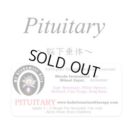 画像1: 【在庫限り】 Pituitary-ピチュエタリー(脳下垂体)-