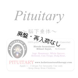 画像1: 【在庫限り】 Pituitary-ピチュエタリー（脳下垂体）-