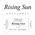 5月のメールマガジン特別価格!! Rising Sun-ライジング・サン- ミカエル・ザヤット×高島なゆみコラボレーションアロマオイル -4mlサイズのみ