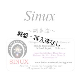 画像1: 【廃盤商品】 Sinux-シナックス（副鼻腔）-