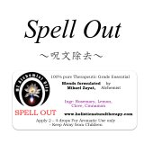 Spells Out-スペル・アウト（呪文除去）-