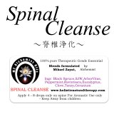 Spinal Cleanse-スピナル・クレンズ（脊椎浄化）-