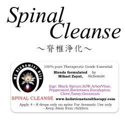 画像1: Spinal Cleanse-スピナル・クレンズ（脊椎浄化）-
