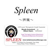 Spleen-スプリーン(脾臓)-