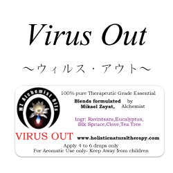 画像1: Virus Out-ウイルス・アウト-