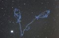 9月のメールマガジン特別価格!! Pisces-魚座-