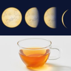 画像1: 満月-新月のハーブティー ティーパック