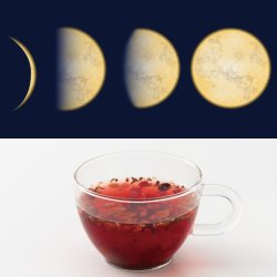 画像1: 新月-満月のハーブティー ティーパック
