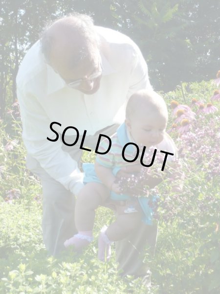 画像4: 【数量限定販売】 Lime-ライム- (4)