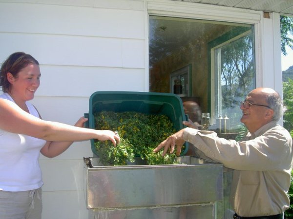 画像6: Mary-マリア(聖母マリア)- (6)