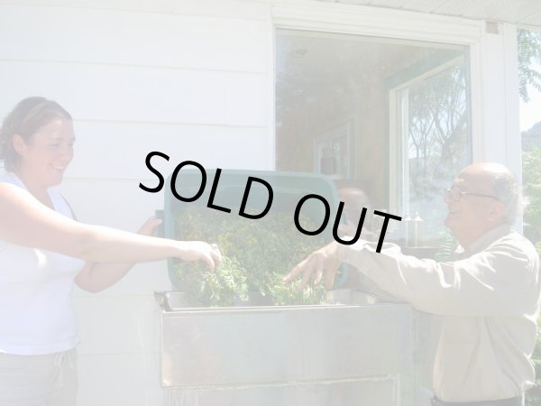 画像5: 【数量限定販売】 Lime-ライム- (5)