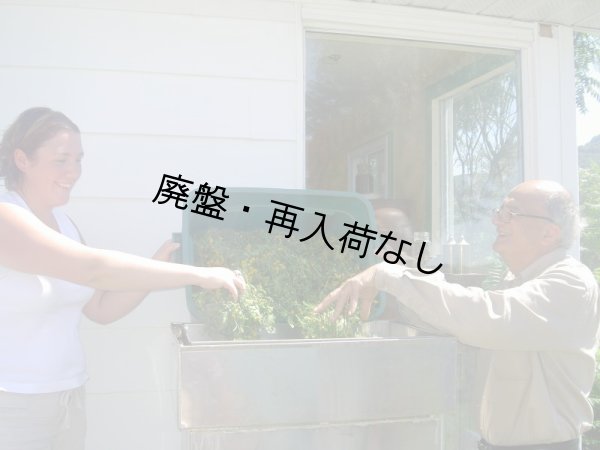 画像6: 【廃盤商品】 Nefertiti-ネフェルティティ- (6)