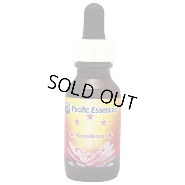 画像1: アバンダンスエッセンス -今一番必要な豊かさを得るために- (1)