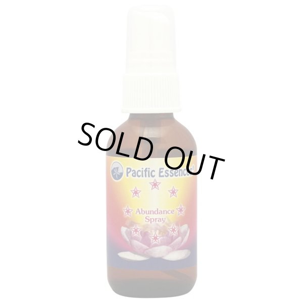 画像1: アバンダンススプレー -今一番必要な豊かさを得るために- (1)
