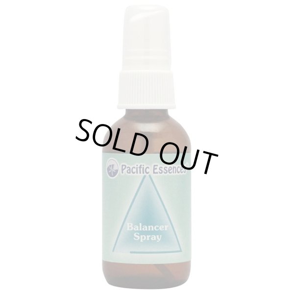 画像1: バランサースプレー -力強い生き方を取り戻すために- (1)