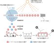 画像9: ソラデーリズム2 音波振動式ソーラー歯ブラシ (9)