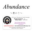 画像1: Abundance-アバンダンス（豊かさ）‐ (1)