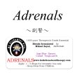 画像1: Adrenals-アドレナル（副腎）‐ (1)