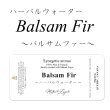 画像1: Balsam Fir-バルサムファー- ハーバルウォーター50ml (1)