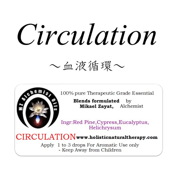 画像1: Circulation-サーキュレーション（血液循環）- (1)