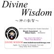 画像1: 【廃盤商品】 Divine Wisdom-デバイン・ウィズダム(神の叡智)- (1)