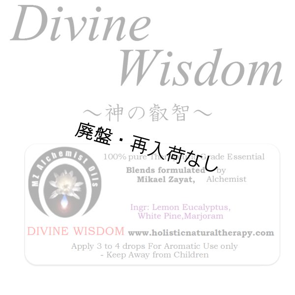 画像1: 【廃盤商品】 Divine Wisdom-デバイン・ウィズダム(神の叡智)- (1)